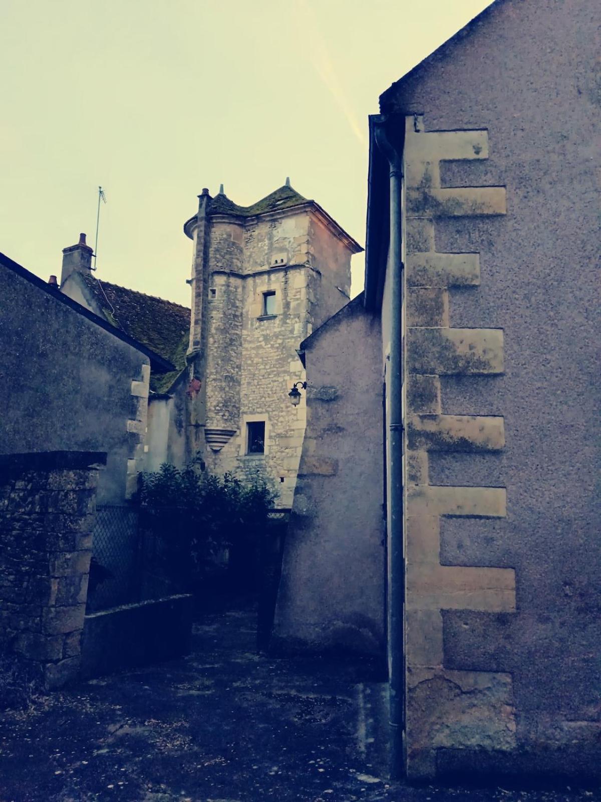 La Parenthese Campagnarde Tannay (Nievre) Exterior photo