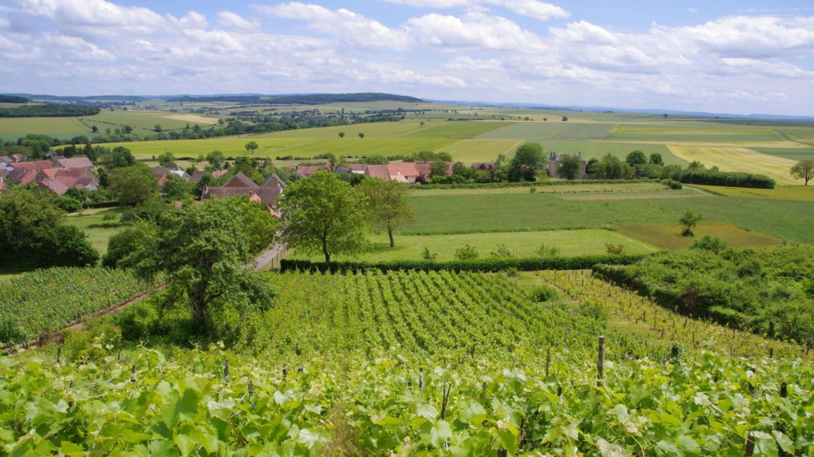 La Parenthese Campagnarde Tannay (Nievre) Exterior photo